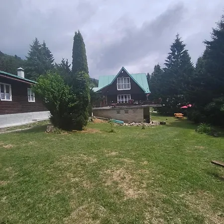 Grizzly Krpacovo